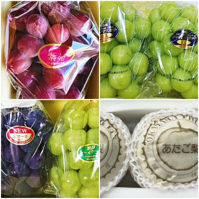 【ふるさと納税】【発送月固定定期便】岡山県産 フルーツ定期便全4回【配送不可地域：離島・北海道・沖縄県】【4075037】 サムネイル2