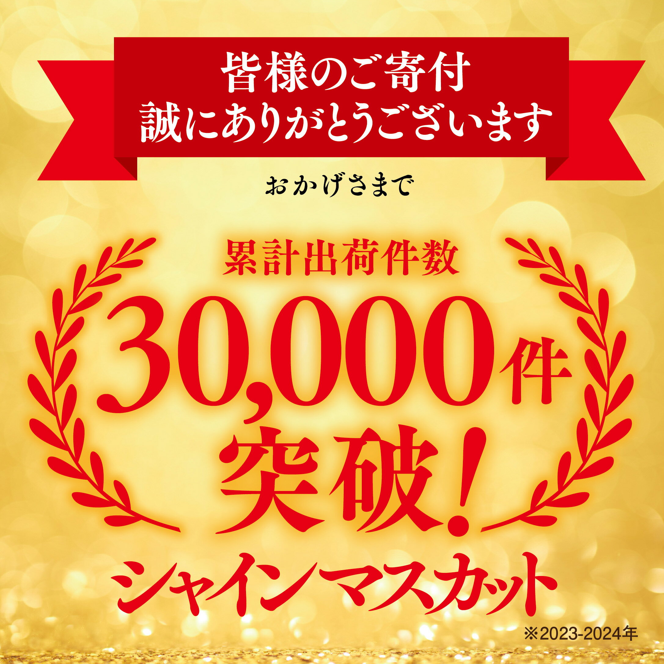 【ふるさと納税】星乃シャインマスカット(岡山県産)　1.3kg以上/1.8kg以上/650g以上_ ぶどう 葡萄 シャインマスカット 果物 くだもの フルーツ 岡山県 津山市 人気 おすすめ 送料無料 贈答 ギフト 【配送不可地域：離島・北海道・沖縄県】【G1418932】 サムネイル2