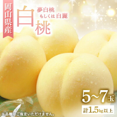 ◆先行予約◆　岡山県産　岡山白桃5～7玉(2)　2026年発送_ 桃 もも モモ 岡山白桃 白桃 果汁たっぷり 高級フルーツ 夏 秋 果物 くだもの フルーツ ギフト プレゼント 岡山県 津山市 産地直送 送料無料 【配送不可地域：離島・北海道・沖縄県】【1349775】