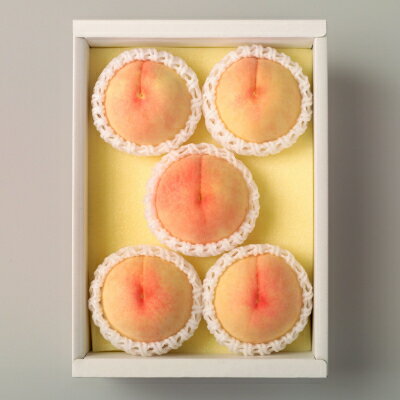 【ふるさと納税】◆先行予約◆　岡山県産　岡山白桃5～7玉(2)　2026年発送_ 桃 もも モモ 岡山白桃 白桃 果汁たっぷり 高級フルーツ 夏 秋 果物 くだもの フルーツ ギフト プレゼント 岡山県 津山市 産地直送 送料無料 【配送不可地域：離島・北海道・沖縄県】【1349775】 サムネイル2