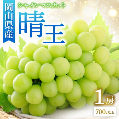 ◆先行予約◆　秋のシャインマスカット「晴王」1房　2026年発送_ シャインマスカット ぶどう 葡萄 ブドウ 晴王 はれおう 種なし 高糖度 大粒 1房 果物 フルーツ 贈答 ギフト 人気 岡山県 津山市 送料無料 【配送不可地域：離島・北海道・沖縄県】【1349780】