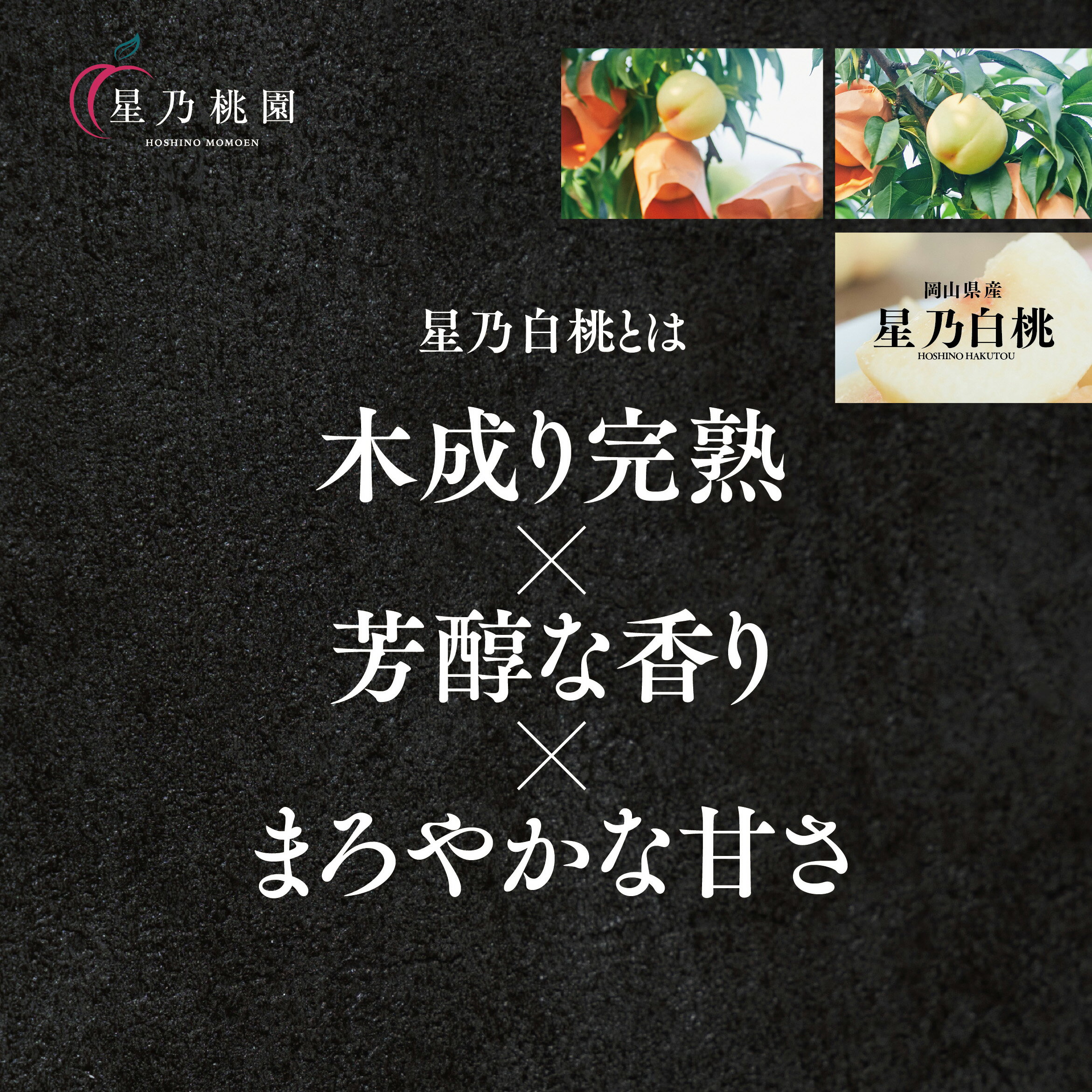 【ふるさと納税】【星乃白桃】岡山県の桃園からお届け三つ星の桃1.2kg(4～5玉)/1.5kg(5～6玉)/780g_ 桃 白桃 清水白桃 岡山県産 もも 甘い 果物 くだもの フルーツ 岡山県 津山市 人気 おすすめ 送料無料 贈答 ギフト 【配送不可地域：離島・北海道・沖縄県】【G1614276】 サムネイル2