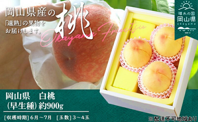 【ふるさと納税】桃 2026年 先行予約 桃 早生種 約900g 3～4玉 もも モモ 岡山県産 国産 フルーツ 果物 ギフト 　お届け：2026年7月上旬～2026年7月下旬 サムネイル2