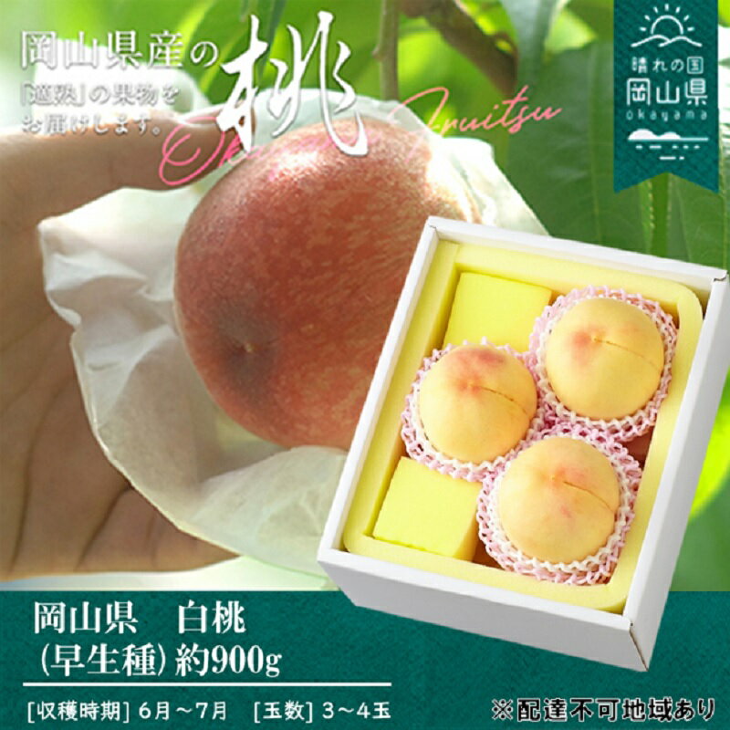 桃 2026年 先行予約 桃 早生種 約900g 3～4玉 もも モモ 岡山県産 国産 フルーツ 果物 ギフト 　お届け：2026年7月上旬～2026年7月下旬