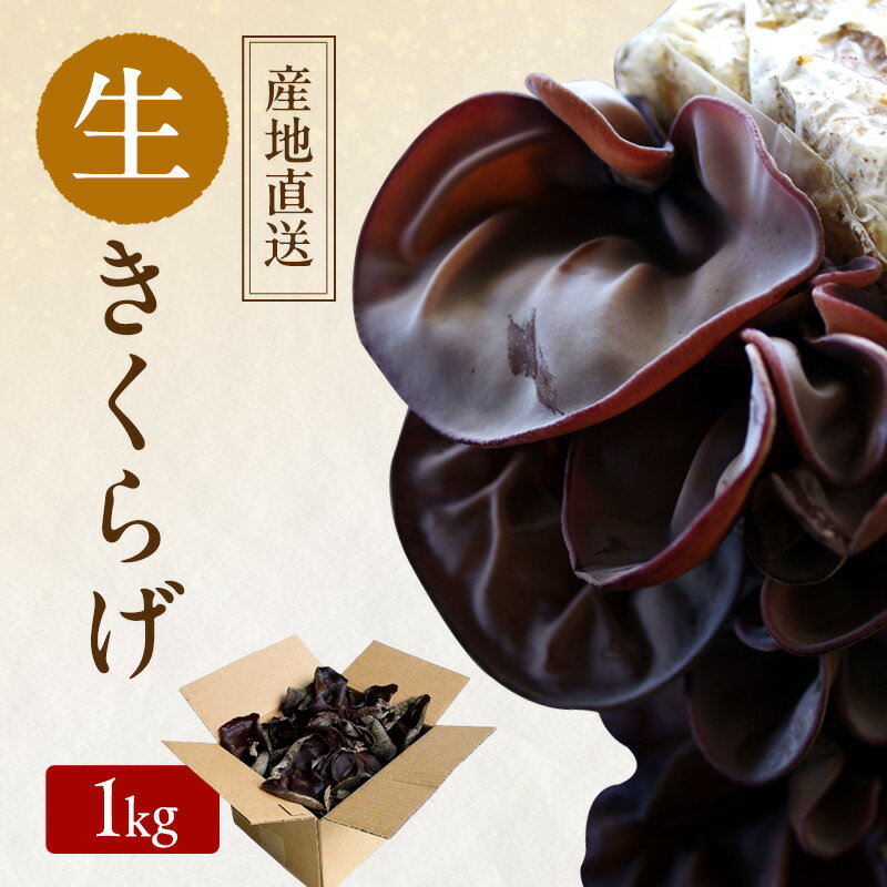 【 産地直送 】 有機JAS 生きくらげ 1kg オーガニック きくらげ 野菜 きのこ 岡山県 玉野市 栽培期間中化学肥料不使用 栽培期間中農薬不使用 野菜セット