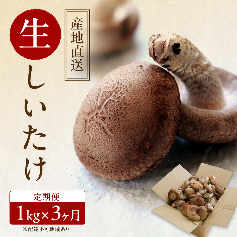 【 産地直送 】 有機JAS 生しいたけ 定期便 1kg×3ヶ月 オーガニック しいたけ きのこ 野菜 岡山県 玉野市 栽培期間中化学肥料不使用 栽培期間中農薬不使用 野菜セット