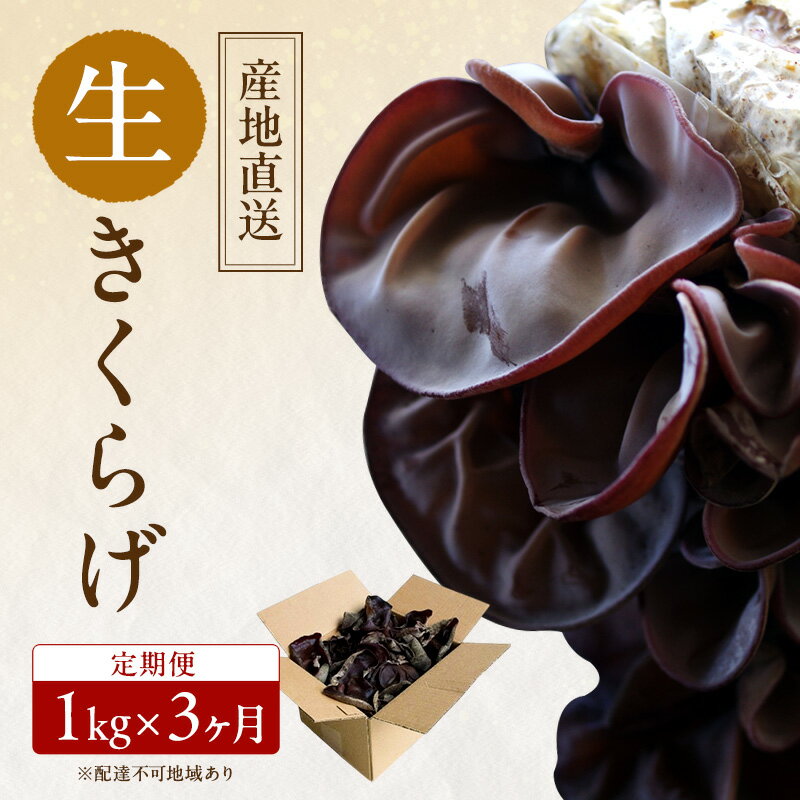 【 産地直送 】 有機JAS 生きくらげ 定期便 1kg×3ヶ月 オーガニック きくらげ きのこ 野菜 岡山県 玉野市 栽培期間中化学肥料不使用 栽培期間中農薬不使用 野菜セット