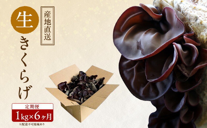 【ふるさと納税】【 産地直送 】 有機JAS 生きくらげ 定期便 1kg×6ヶ月 オーガニック きくらげ きのこ 野菜 岡山県 玉野市 栽培期間中化学肥料不使用 栽培期間中農薬不使用 野菜セット - 画像2