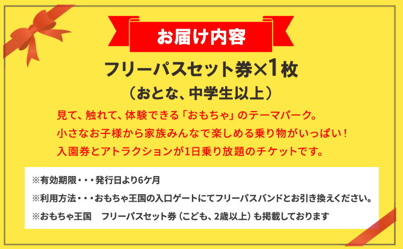 【ふるさと納税】おもちゃ 王国 フリーパス セット 券 （おとな、中学生以上） 入場券 チケット 優待券 サムネイル3