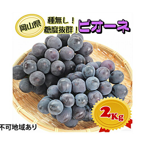 ぶどう 2026年 先行予約 ニュー ピオーネ【9月上旬～順次発送分】約2kg（2房～5房）秀品 糖度抜群！ 種無し ブドウ 葡萄 岡山県産 国産 フルーツ 果物 ギフト 果物類 　お届け：2026年9月上旬～2026年10月上旬