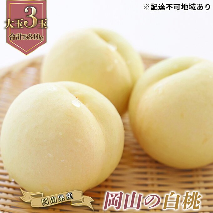 桃 2026年 先行予約 岡山の 白桃 大玉3玉 早生種 合計約840g もも モモ 岡山県産 国産 フルーツ 果物 ギフト　お届け：2026年6月下旬～2026年7月中旬