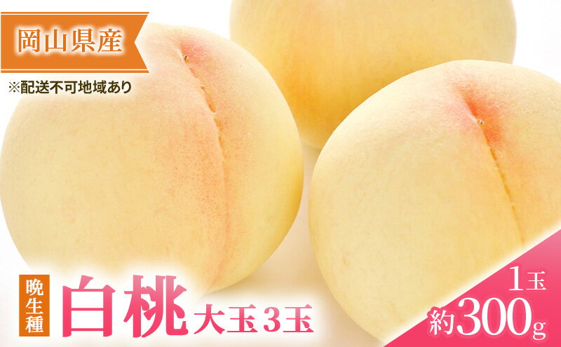 【ふるさと納税】桃 2026年 先行予約 岡山の 白桃 大玉3玉（晩生種）（1玉約300g） もも モモ 岡山県産 国産 フルーツ 果物 ギフト　お届け：2026年7月下旬～2026年8月下旬 サムネイル2