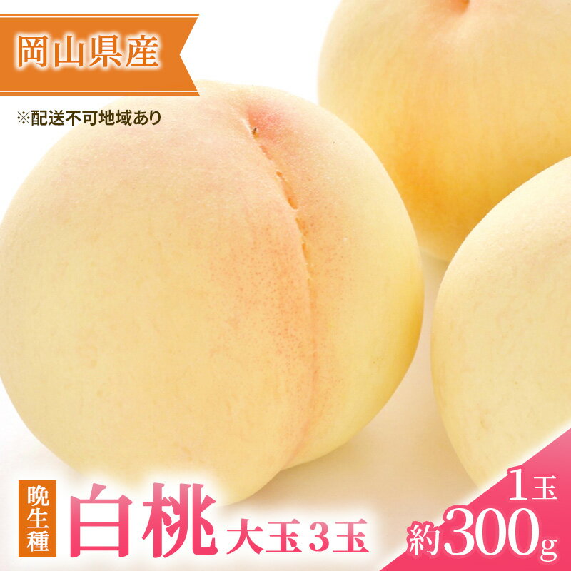 桃 2026年 先行予約 岡山の 白桃 大玉3玉（晩生種）（1玉約300g） もも モモ 岡山県産 国産 フルーツ 果物 ギフト　お届け：2026年7月下旬～2026年8月下旬