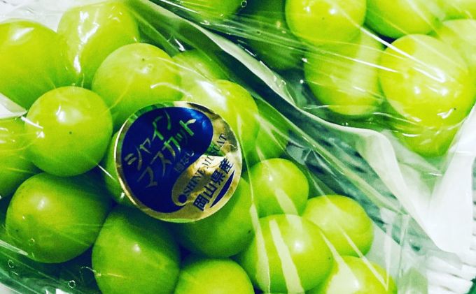 【ふるさと納税】ぶどう 2026年 先行予約 シャイン マスカット 2房 合計1.4kg以上 ブドウ 葡萄 岡山県産 国産 フルーツ 果物 ギフト 河本農園 果物類 シャインマスカット 　お届け：2026年9月上旬～2026年9月30日まで サムネイル2