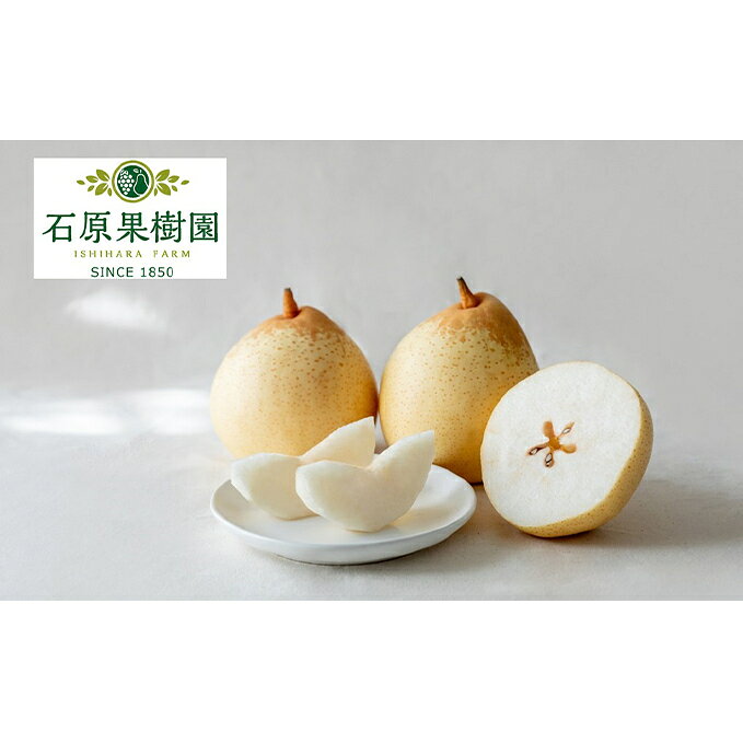 梨 2025年 先行予約 鴨梨（ヤーリー）3～6玉 合計約2kg 贈答箱 【11月下旬～12月中旬頃発送】ナシ なし 岡山県産 国産 フルーツ 果物 ギフト 石原果樹園 　お届け：2025年11月15日～2025年12月20日