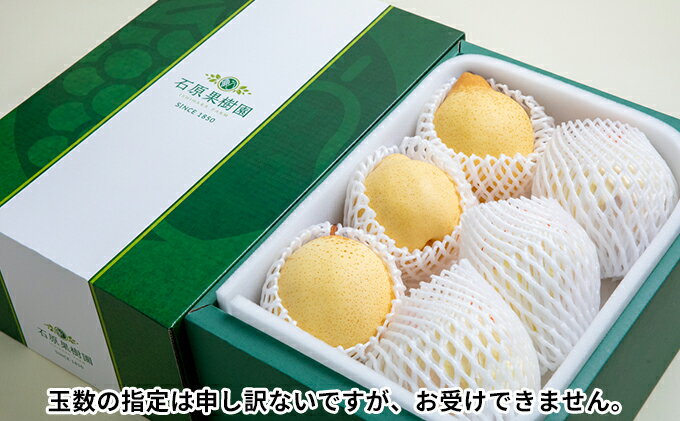 【ふるさと納税】梨 2025年 先行予約 鴨梨（ヤーリー）5～10玉 合計約3kg 贈答箱 【11月下旬～12月中旬頃発送】ナシ なし 岡山県産 国産 フルーツ 果物 ギフト 石原果樹園 ヤリー 　お届け：2025年11月15日～2025年12月20日 サムネイル3