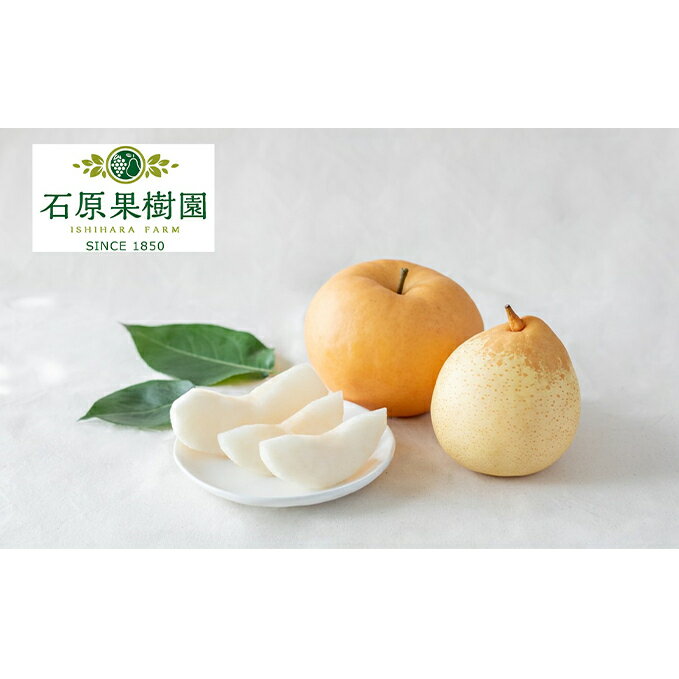 梨 2025年 先行予約 あたご梨・鴨梨（ヤーリー）詰合せ 合計約3kg あたご2～3玉 鴨梨3～4玉 贈答箱 【11月下旬～12月中旬頃発送】ナシ なし 岡山県産 国産 フルーツ 果物 ギフト 石原果樹園 　お届け：2025年11月15日～2025年12月20日