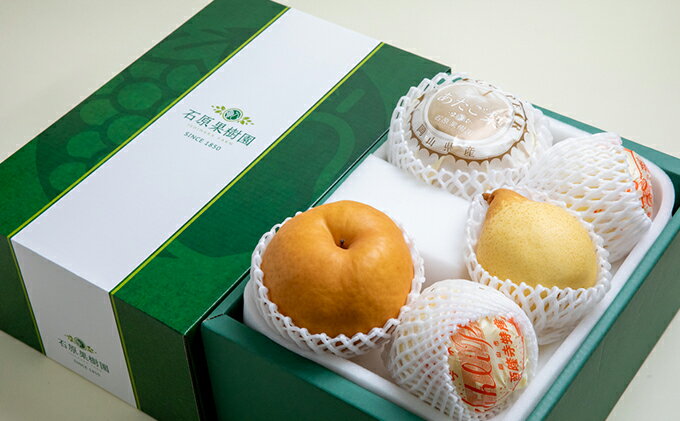 【ふるさと納税】梨 2025年 先行予約 あたご梨・鴨梨（ヤーリー）詰合せ 合計約3kg あたご2～3玉 鴨梨3～4玉 贈答箱 【11月下旬～12月中旬頃発送】ナシ なし 岡山県産 国産 フルーツ 果物 ギフト 石原果樹園 　お届け：2025年11月15日～2025年12月20日 サムネイル3