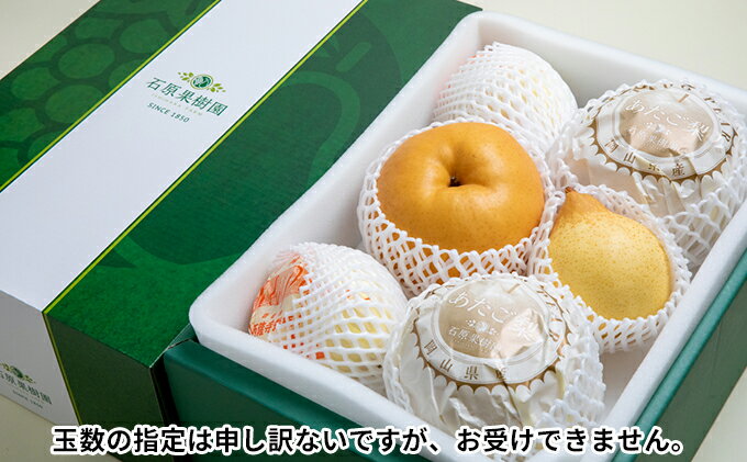 【ふるさと納税】梨 2025年 先行予約 あたご梨・鴨梨（ヤーリー）詰合せ 合計約4kg あたご2～3玉 鴨梨3～6玉 贈答箱【11月下旬～12月中旬頃発送】ナシ なし 岡山県産 国産 フルーツ 果物 ギフト 石原果樹園 　お届け：2025年11月15日～2025年12月20日 サムネイル3