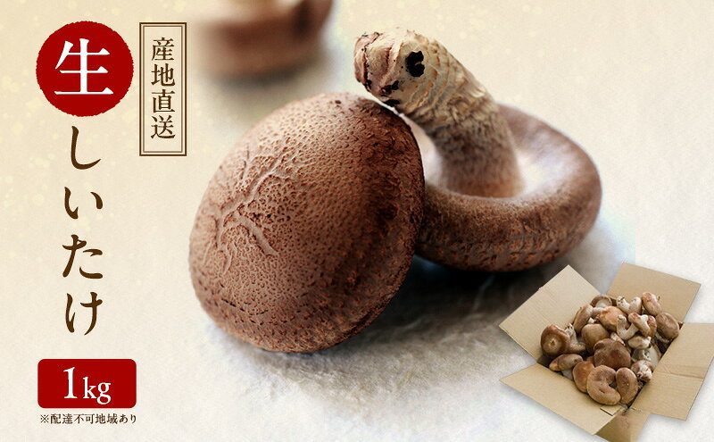 【ふるさと納税】【 産地直送 】 有機JAS 生しいたけ 1kg オーガニック しいたけ きのこ 野菜 岡山県 玉野市 栽培期間中化学肥料不使用 栽培期間中農薬不使用 - 画像2
