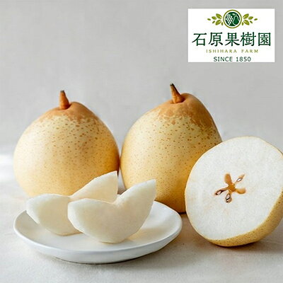 梨 2025年 先行予約 備前乙女梨（鴨梨） 3～4玉 合計約2kg【11月下旬～12月中旬頃発送】ナシ なし 岡山県産 国産 フルーツ 果物 ギフト 石原果樹園 　お届け：2025年11月15日～2025年12月20日