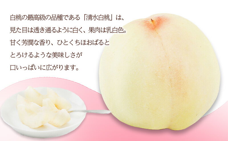 【ふるさと納税】桃 2026年 先行予約 清水 白桃 6玉（1玉250g以上）化粧箱入り もも モモ 岡山県産 国産 フルーツ 果物 ギフト 　お届け：2026年7月中旬～2026年8月上旬 サムネイル3