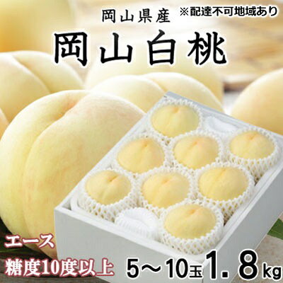 桃 2026年 先行予約 岡山 白桃 エース 5～10玉 約1.8kg JAおかやまのもも（早生種・中生種） もも モモ 岡山県産 国産 フルーツ 果物 ギフト 　お届け：2026年7月上旬～2026年8月中旬