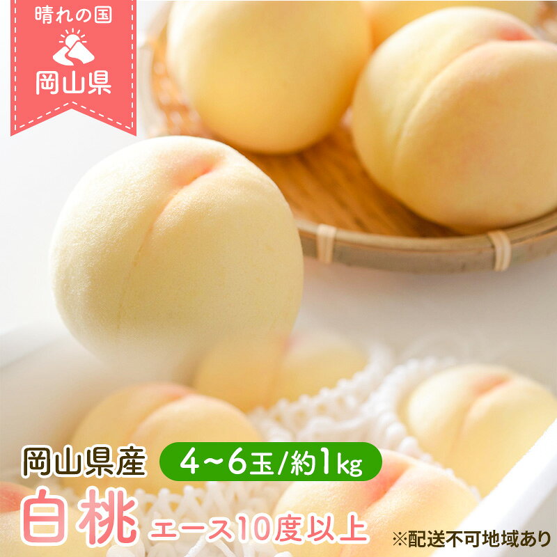 桃 2026年 先行予約 岡山 白桃 エース 4～6玉 約1kg JA おかやま のもも（早生種・中生種） もも モモ 岡山県産 国産 フルーツ 果物 ギフト 　お届け：2026年7月上旬～2026年8月中旬