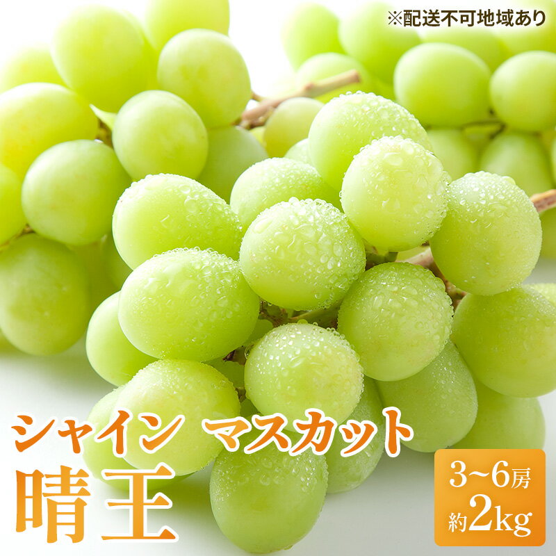 ぶどう 2026年 先行予約 シャイン マスカット 晴王 3房～6房 約2kg ブドウ 葡萄 岡山県産 国産 フルーツ 果物 ギフト シャインマスカット 美しい 大粒 種なし 弾力 高糖度 甘い 　お届け：2026年7月上旬～2026年8月中旬