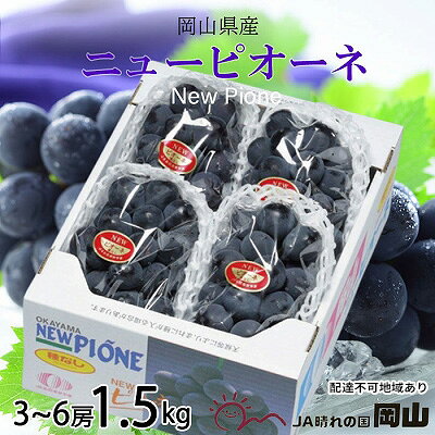 ぶどう 2026年 先行予約 ニュー ピオーネ 3房～6房 約1.5kg ブドウ 葡萄 岡山県産 国産 フルーツ 果物 ギフト 果物類 ニューピオーネ 酸味 大粒 種なし 人気 高糖度 甘い 果汁 　お届け：2026年6月下旬～2026年7月下旬