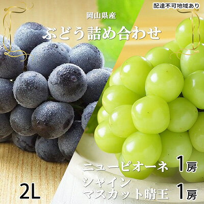ぶどう 2026年 先行予約 ニュー ピオーネ 1房 約500g シャイン マスカット 晴王 1房 約500g（2Lサイズ）詰め合わせ 岡山県産 国産 フルーツ 果物 ギフト 大粒 種なし 高糖度 甘い セット 　お届け：2026年6月下旬～2026年7月下旬
