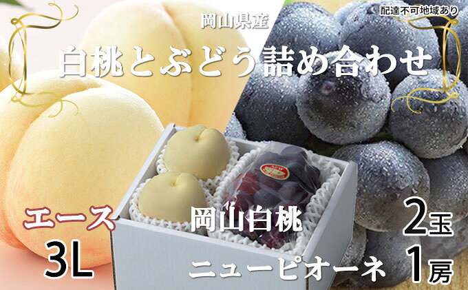 【ふるさと納税】桃 ぶどう 2026年 先行予約 岡山 白桃 エース 2玉×約300g（3Lサイズ、早生種・中生種）ニュー ピオーネ 1房約600g 詰め合わせ 岡山県産 フルーツ 　お届け：2026年7月上旬～2026年8月中旬 サムネイル2