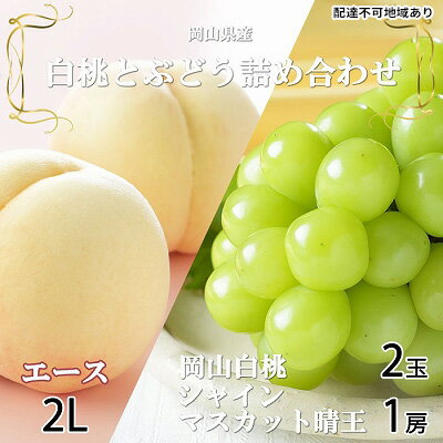 桃 ぶどう 2026年 先行予約 岡山 白桃 エース 2玉×約250g（2Lサイズ、早生種・中生種）シャイン マスカット 晴王 1房約500g 詰め合わせ 岡山県産 フルーツ 　お届け：2026年7月上旬～2026年8月中旬