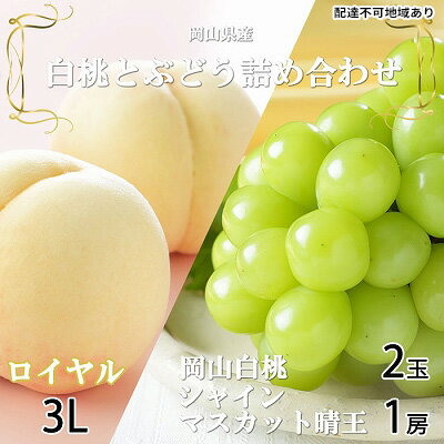 桃 ぶどう 2026年 先行予約 岡山 白桃 ロイヤル 2玉×約300g（3Lサイズ、早生種・中生種）シャイン マスカット 晴王 1房約600g 詰め合わせ 岡山県産 フルーツ 　お届け：2026年7月上旬～2026年8月中旬