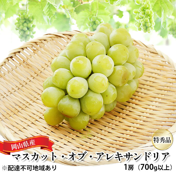 ぶどう 2026年 先行予約 マスカット・オブ・アレキサンドリア 特秀品 1房（1房700g以上）化粧箱入り 葡萄 岡山県産 国産 フルーツ ギフト 果物 食後 デザート 高級ぶどう 爽やか 　お届け：2026年6月中旬～2026年8月下旬