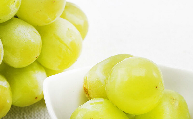 【ふるさと納税】ぶどう 2026年 先行予約 マスカット・オブ・アレキサンドリア 特秀品 1房（1房700g以上）化粧箱入り 葡萄 岡山県産 国産 フルーツ ギフト 果物 食後 デザート 高級ぶどう 爽やか 　お届け：2026年6月中旬～2026年8月下旬 サムネイル3