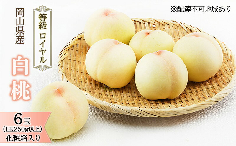 【ふるさと納税】桃 2026年 先行予約 白桃 6玉（1玉250g以上）等級： ロイヤル 化粧箱入り もも モモ 岡山県産 国産 フルーツ 果物 ギフト 最高等級品 糖度12.0度以上 芳潤な香り贈答用 果汁滴る 　お届け：2026年7月上旬～2026年8月上旬 サムネイル2