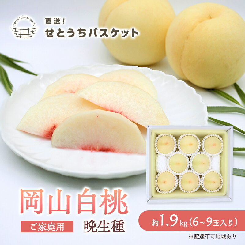 桃 2026年 先行予約 岡山 白桃（晩生種）ご家庭用 約2kg 6～9玉入り もも モモ 岡山県産 国産 フルーツ 果物 直送！せとうちバスケット こだわり 特産品 白い 香り 果汁 シーズン 高糖度 　お届け：2026年8月16日～2026年8月末頃