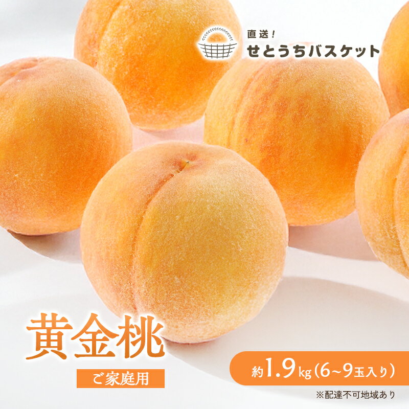 桃 2026年 先行予約 岡山 黄金桃 ご家庭用 約2kg 6～9玉入り もも モモ 岡山県産 国産 フルーツ 果物 直送！せとうちバスケット スイーツ こだわり 特産品 白い 香り 果汁 シーズン 濃厚 　お届け：2026年8月末頃～2026年9月上旬