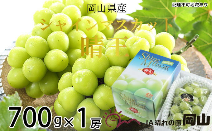【ふるさと納税】ぶどう 2026年 先行予約 シャイン マスカット 晴王 約700g×1房 ブドウ 葡萄 岡山県産 国産 フルーツ 果物 ギフト 食後 デザート 大粒 高糖度 種なし 皮ごと おやつ 　お届け：2026年7月上旬～2026年8月中旬 サムネイル2
