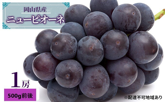 【ふるさと納税】ぶどう 2026年 先行予約 ニュー ピオーネ 1房 500g前後 ブドウ 葡萄 岡山県産 国産 フルーツ 果物 ギフト デザート 食後 種なし 大粒 甘みが強い 酸味 バランス 　お届け：2026年7月上旬～2026年9月上旬 サムネイル2
