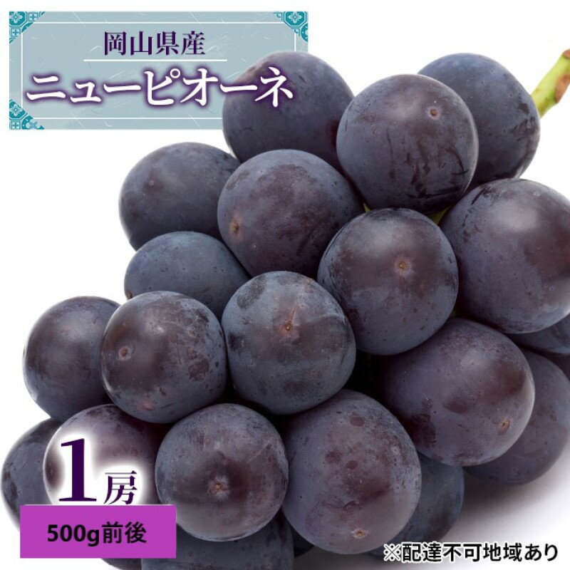 ぶどう 2026年 先行予約 ニュー ピオーネ 1房 500g前後 ブドウ 葡萄 岡山県産 国産 フルーツ 果物 ギフト デザート 食後 種なし 大粒 甘みが強い 酸味 バランス 　お届け：2026年7月上旬～2026年9月上旬