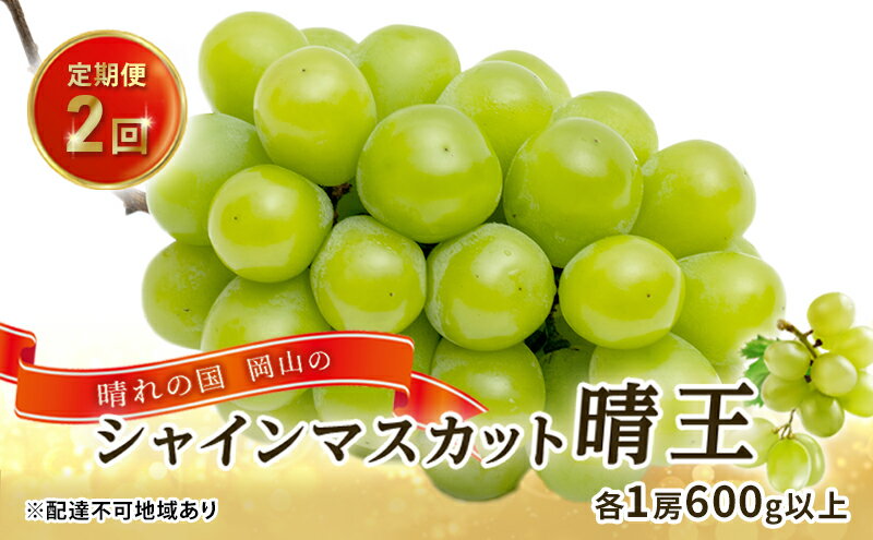 【ふるさと納税】ぶどう 2026年 先行予約 晴れの国 岡山の シャイン マスカット 晴王 定期便 2回（各1房600g以上） 葡萄 岡山県産 国産 フルーツ ギフト 大粒 種なし 甘みが強い 皮ごと食べられる 　お届け：2026年9月上旬～2026年10月下旬 サムネイル2