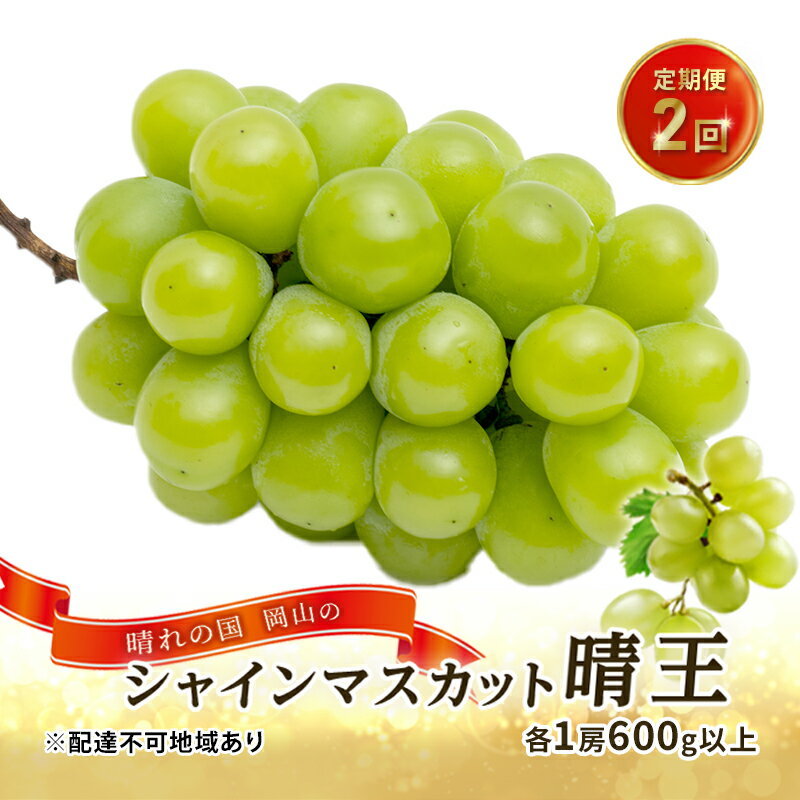 ぶどう 2026年 先行予約 晴れの国 岡山の シャイン マスカット 晴王 定期便 2回（各1房600g以上） 葡萄 岡山県産 国産 フルーツ ギフト 大粒 種なし 甘みが強い 皮ごと食べられる 　お届け：2026年9月上旬～2026年10月下旬