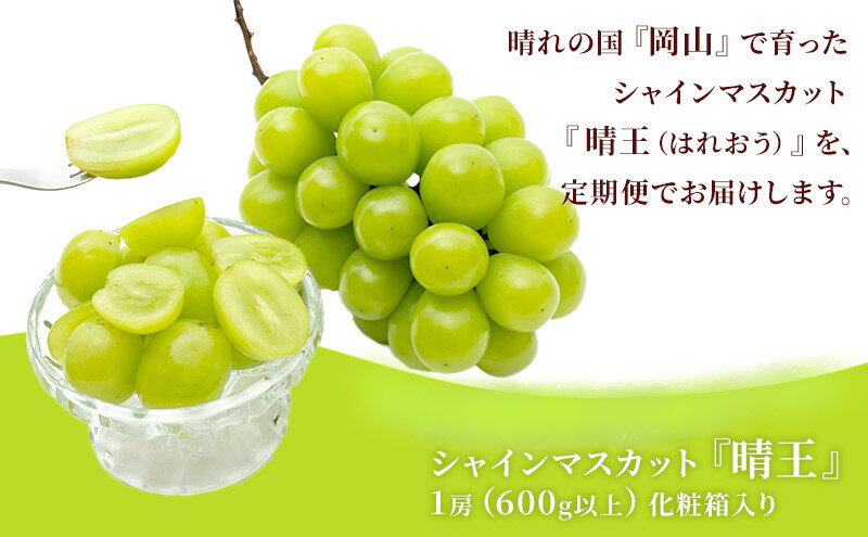 【ふるさと納税】ぶどう 2026年 先行予約 晴れの国 岡山の シャイン マスカット 晴王 定期便 2回（各1房600g以上） 葡萄 岡山県産 国産 フルーツ ギフト 大粒 種なし 甘みが強い 皮ごと食べられる 　お届け：2026年9月上旬～2026年10月下旬 サムネイル3