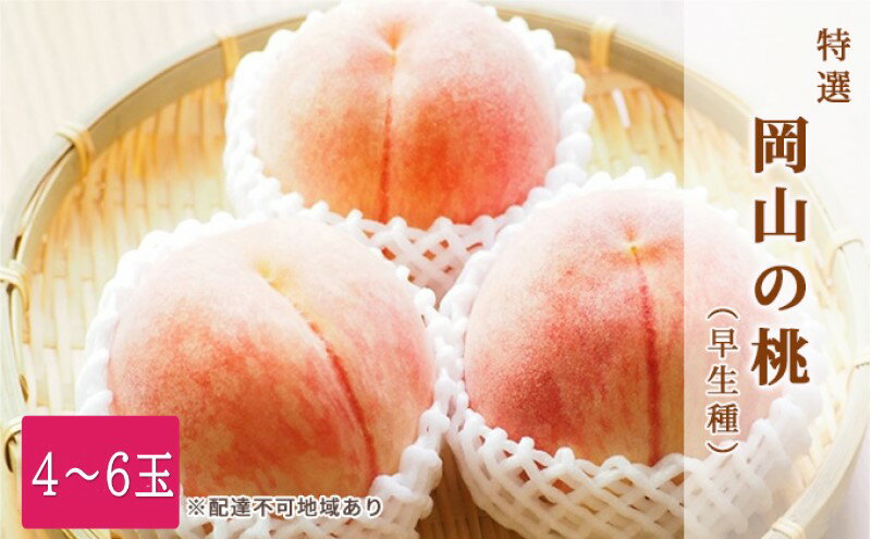 【ふるさと納税】桃 2026年 先行予約 特選 岡山の白桃 4～6玉 1.5k箱（正味内容量1.3kg以上）早生種 もも モモ 岡山県産 国産 フルーツ 果物 ギフト 白鳳 白桃 品種はお任せ お楽しみ お取り寄せ 季節の果物 　お届け：2026年6月下旬～2026年7月中旬 サムネイル2