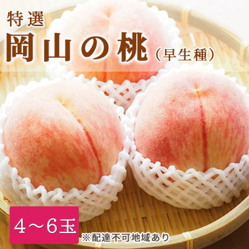 桃 2026年 先行予約 特選 岡山の白桃 4～6玉 1.5k箱（正味内容量1.3kg以上）早生種 もも モモ 岡山県産 国産 フルーツ 果物 ギフト 白鳳 白桃 品種はお任せ お楽しみ お取り寄せ 季節の果物 　お届け：2026年6月下旬～2026年7月中旬