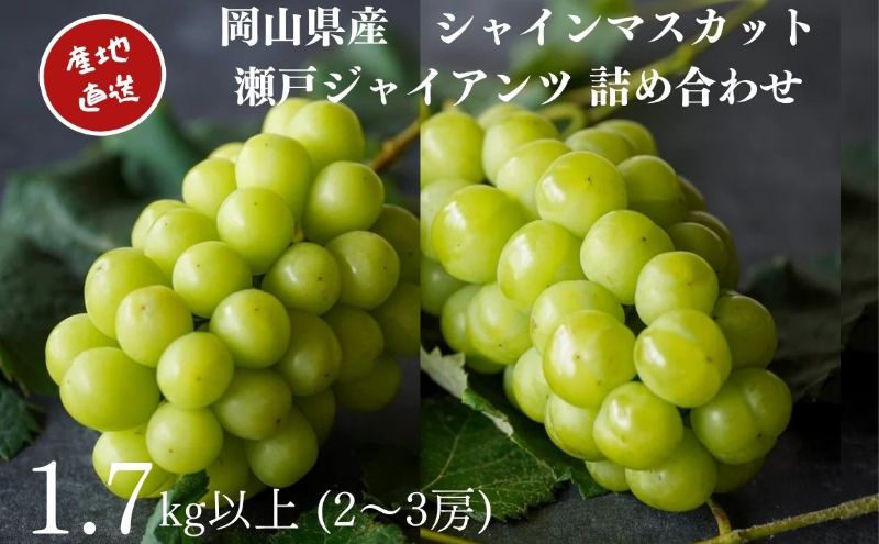 【ふるさと納税】厳選 シャインマスカット・瀬戸ジャイアンツ 2～3房 合計1.7kg以上 詰合せ 産地直送 朝採れ ぶどう 葡萄 Kawahara Green Farm 岡山県産2026年 果物 フルーツ 岡山のブドウ デザート 食べ物 国産 日本産 　お届け：2026年9月11日～2026年10月20日 サムネイル2