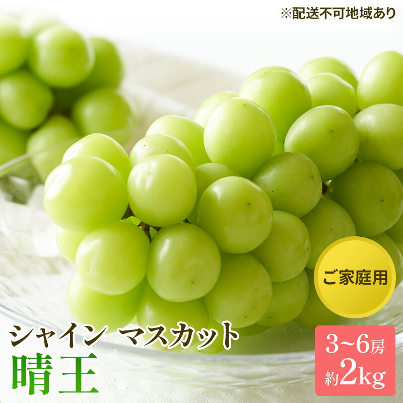 ぶどう 2025年 先行予約 ご家庭用 シャイン マスカット 晴王 3～6房 約2kg ブドウ 葡萄 岡山県産 国産 フルーツ 果物 太陽 美しい 外観 大粒 高糖度 種なし 皮ごと 弾力 食感 美味しい 　お届け：2025年8月下旬～2025年11月下旬