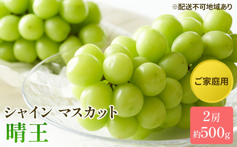 【ふるさと納税】ぶどう 2025年 先行予約 ご家庭用 シャイン マスカット 晴王 約500g×2房 ブドウ 葡萄 岡山県産 国産 フルーツ 果物 太陽 美しい 外観 大粒 高糖度 種なし 皮ごと 弾力 食感 美味しい 　お届け：2025年8月下旬～2025年11月下旬 サムネイル2